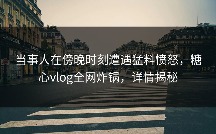 当事人在傍晚时刻遭遇猛料愤怒，糖心vlog全网炸锅，详情揭秘