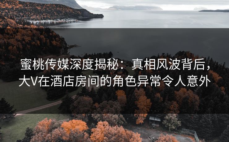 蜜桃传媒深度揭秘：真相风波背后，大V在酒店房间的角色异常令人意外