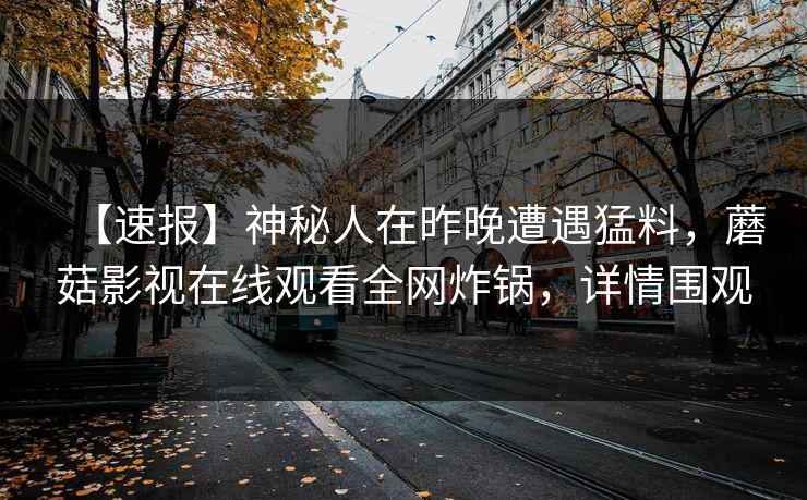 【速报】神秘人在昨晚遭遇猛料，蘑菇影视在线观看全网炸锅，详情围观