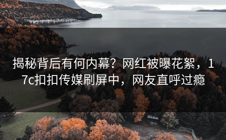 揭秘背后有何内幕？网红被曝花絮，17c扣扣传媒刷屏中，网友直呼过瘾